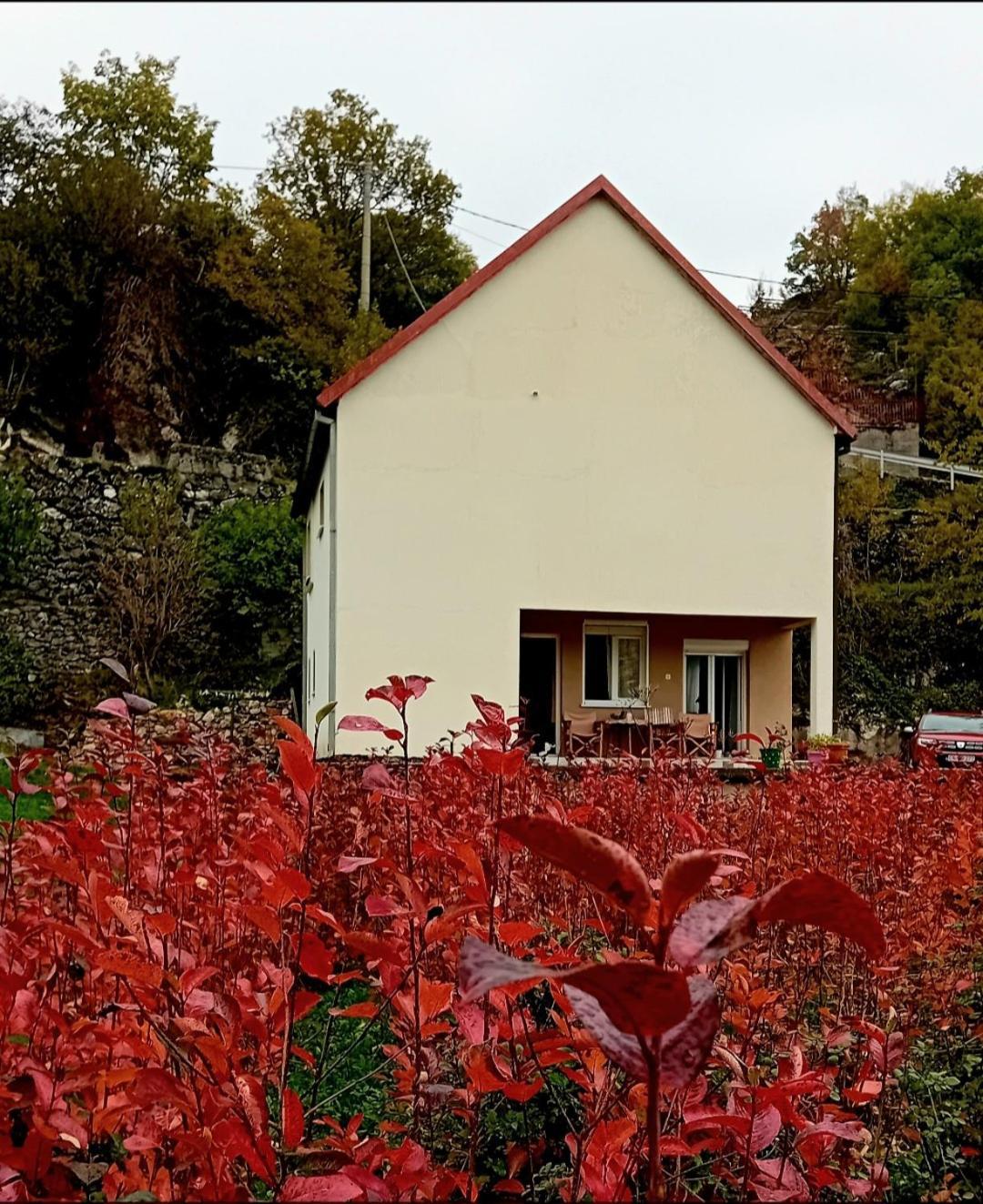 Konak Ugnji-Village เซทินเจ ภายนอก รูปภาพ